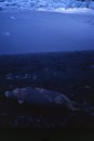 File0190 * 1355 x 2016 * (2.26MB)