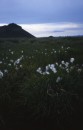File0198 * 1307 x 2043 * (1.76MB)